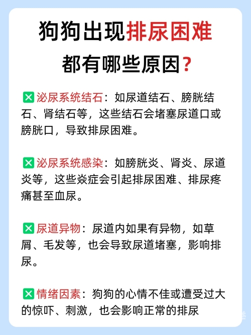 堵住尿孔的困境，无法排尿的体验与应对策略-第2张图片