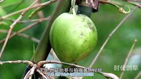 麻豆传播视频麻豆传播视频的危害与防范-第3张图片