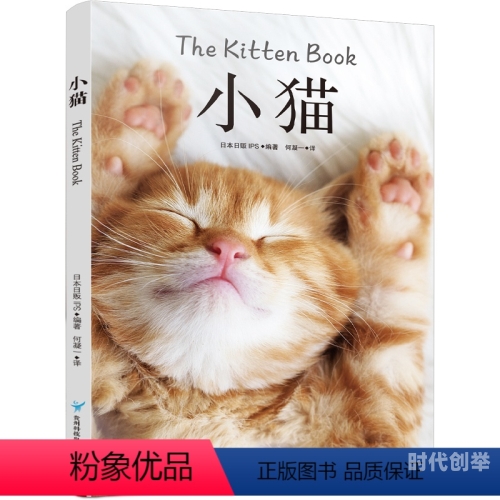 新版猫咪2.0新版猫咪2.0，引领宠物互动新时代-第2张图片