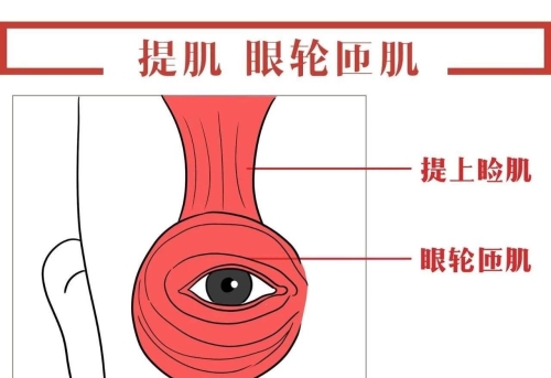 左眼皮跳灾怎么躲灾探索越南乳晕嫩红之谜，NuWhite的秘密-第3张图片