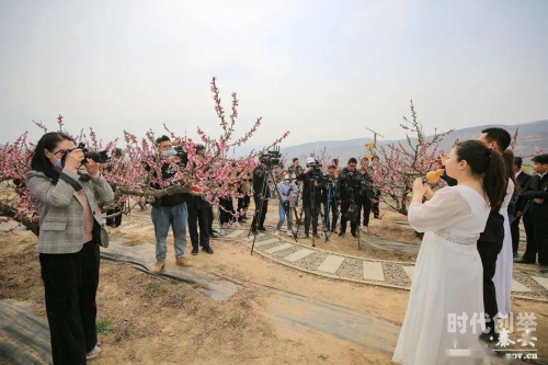 桃花直播下载，开启你的直播新世界