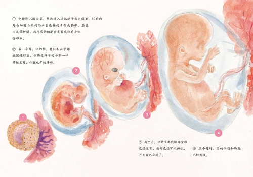 宝宝腿抬得高一点，疼痛缓解的秘密-第2张图片