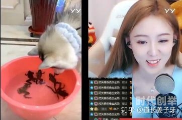 yy精彩世界有好玩的吗YY精彩世界，探索网络娱乐的无限可能