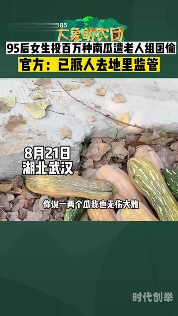 偷自视频区视频的真实事件及其影响-第2张图片