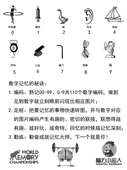 9 1免费版官方下载9 1免费版官方下载，轻松体验，无忧使用