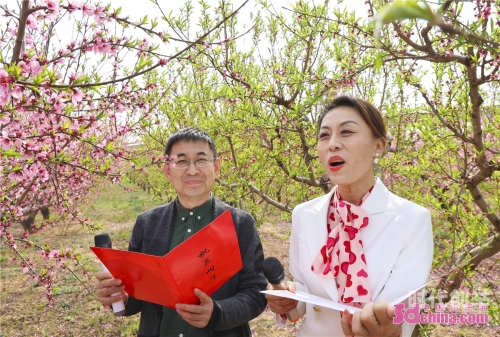 桃花直播免费观看桃花直播，免费观看的精彩世界-第3张图片