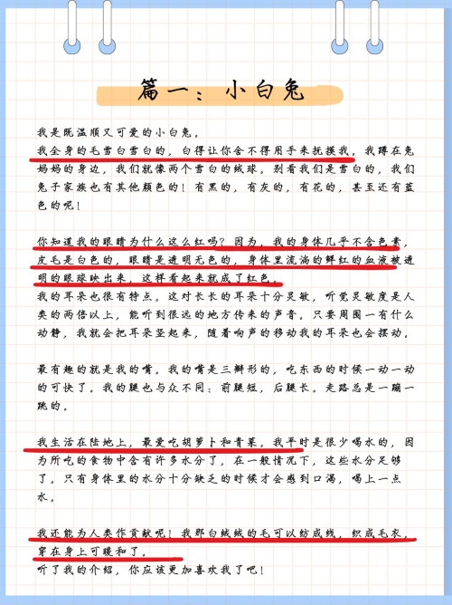 老师的小兔子好软真好吃作文老师的小兔子——柔软美味之体验