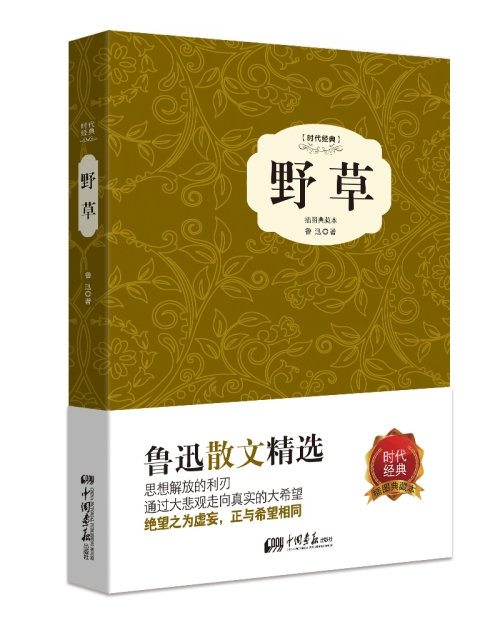 野草视频免费中文野草视频，中文免费资源的新探索-第3张图片