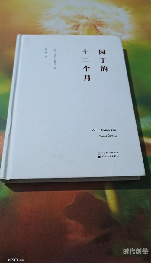 草莓丝瓜向日葵黄瓜榴莲ios下载探索多彩果蔬与现代科技软件之魅力-第3张图片