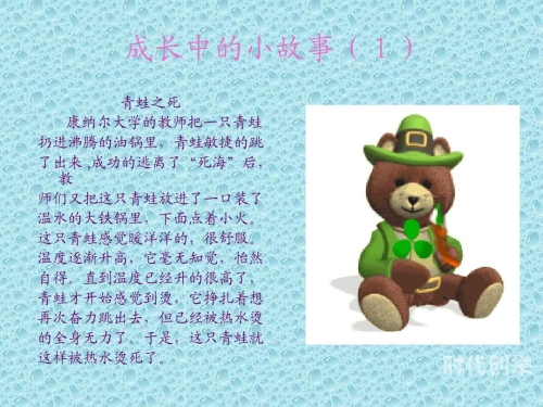 向日葵与幼犬的7天，一段温馨的成长故事