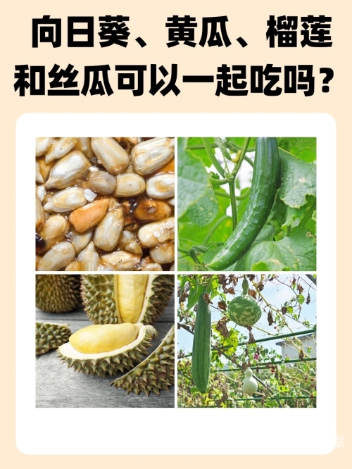 秋葵茄子丝瓜香瓜榴莲的食用与营养大全-第3张图片