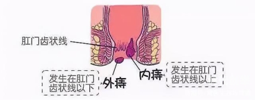 胸前两个大肉球瘪了儿媳的独特魅力——胸前的肉球在细微动作中展现的魅力