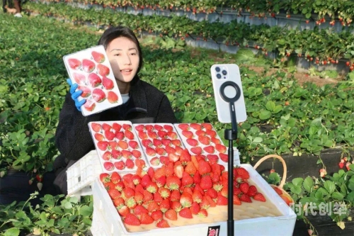 草莓app直播免费视频草莓app直播免费视频的魅力与正确使用方式-第1张图片