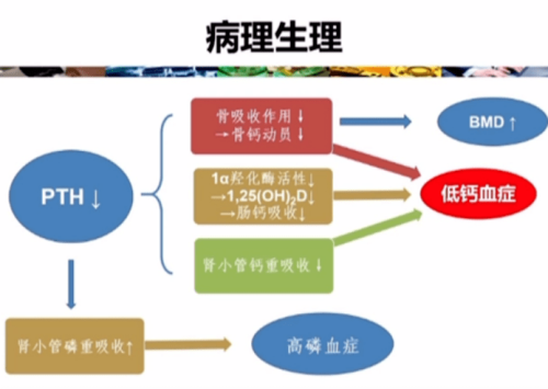 钙网官网下载2023年钙GGY钙站入口的探索与解析-第3张图片