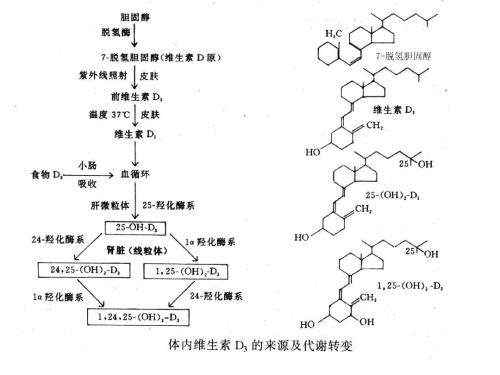 钙网官网下载2023年钙GGY钙站入口的探索与解析