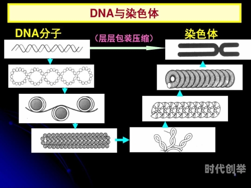 伦理边界的探索，伦交与乱叫现象的社会思考-第2张图片