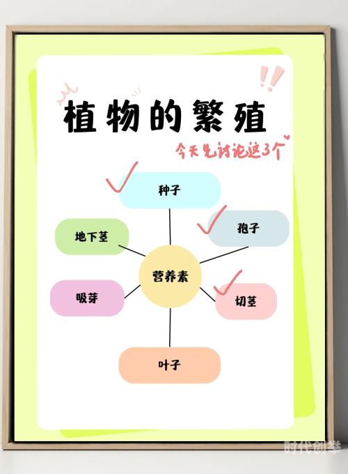 全程揭秘，整篇都是车的多肉种植过程-第3张图片