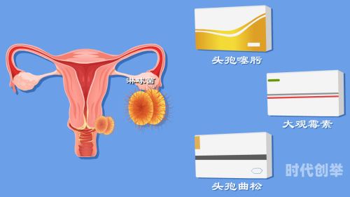 女性B型大全——解析与指南-第3张图片