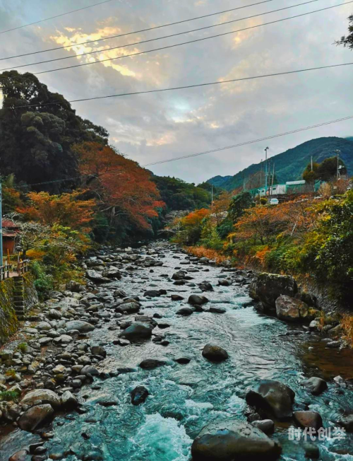 忘忧草在线社区www日本官网探索忘忧草在线社区的日本官网之旅