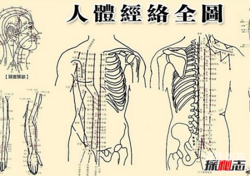 探索奇涩人体之谜-第3张图片