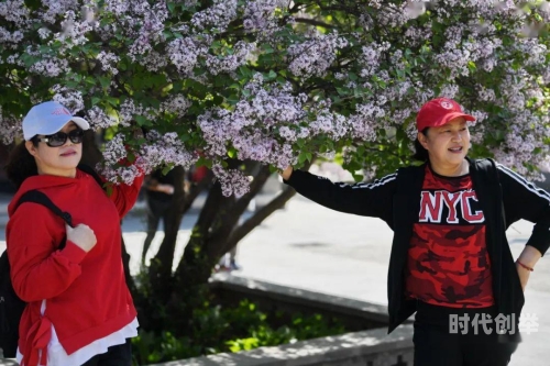 丁香花高清视频完整电影探索日本一二三视频的魅力