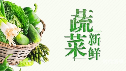 有机z最新2019网站是多少有机zz.com新网站，开启绿色生活新篇章-第1张图片