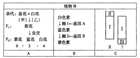 B的几种类型图例B的几种类型图例详解