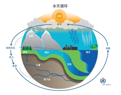 探索干与水滋滋的奇妙世界