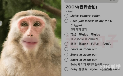 美国zoom动物园美国ZOOM动物——欢迎您的到来！-第2张图片