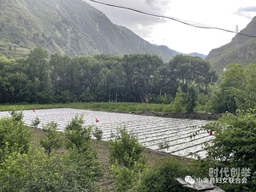 妇女被深耕过后身体有哪些变化图片妇女在深耕后的身体变化