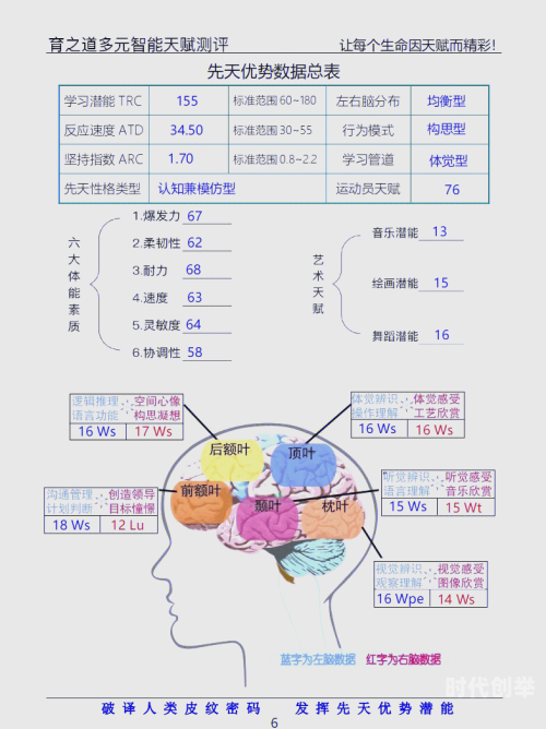 天赋加点，如何发掘并强化你的独特优势