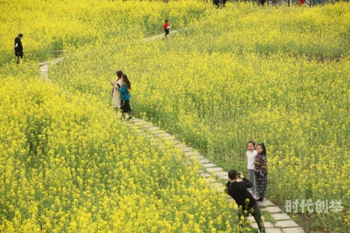 女主播的乡村之旅，与独居老汉的温暖邂逅