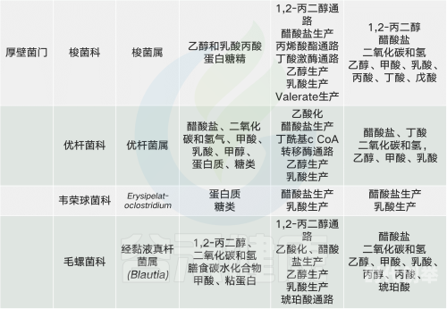 水乳交融和唇齿相依的区别水乳交融与唇齿相依，深度解析两者之异同