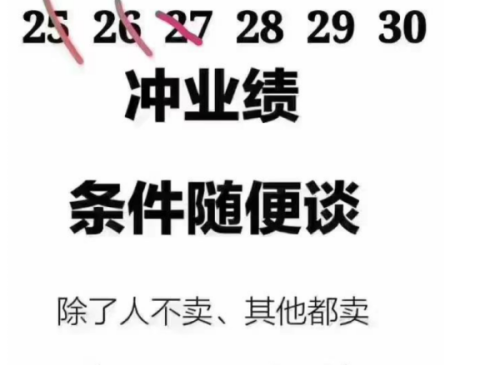 销售为了业绩满足顾客一次 阳台房价高阳台体验，满足您的购房需求——销售房子的新策略