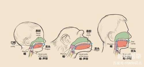 拔萝卜时一边喘气一边说痛，如何应对与缓解？-第3张图片