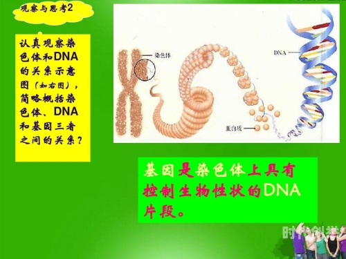 母亲的dna和儿子的dna是一样的吗怎母亲的DNA与儿子的DNA，是否完全相同？-第2张图片