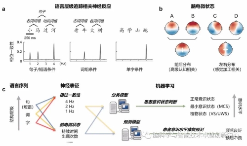 女生扣B的探索与理解