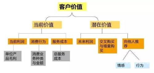 年度小会员年度小会员的魅力与价值